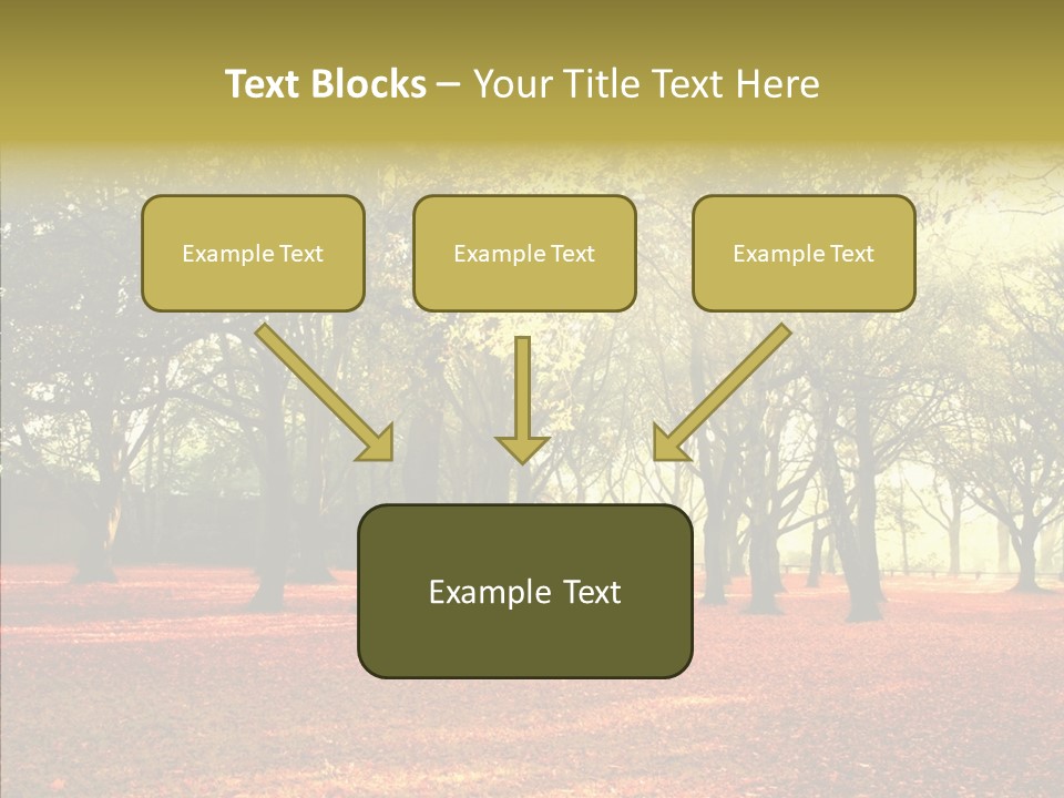 Orange Magnificent Display PowerPoint Template