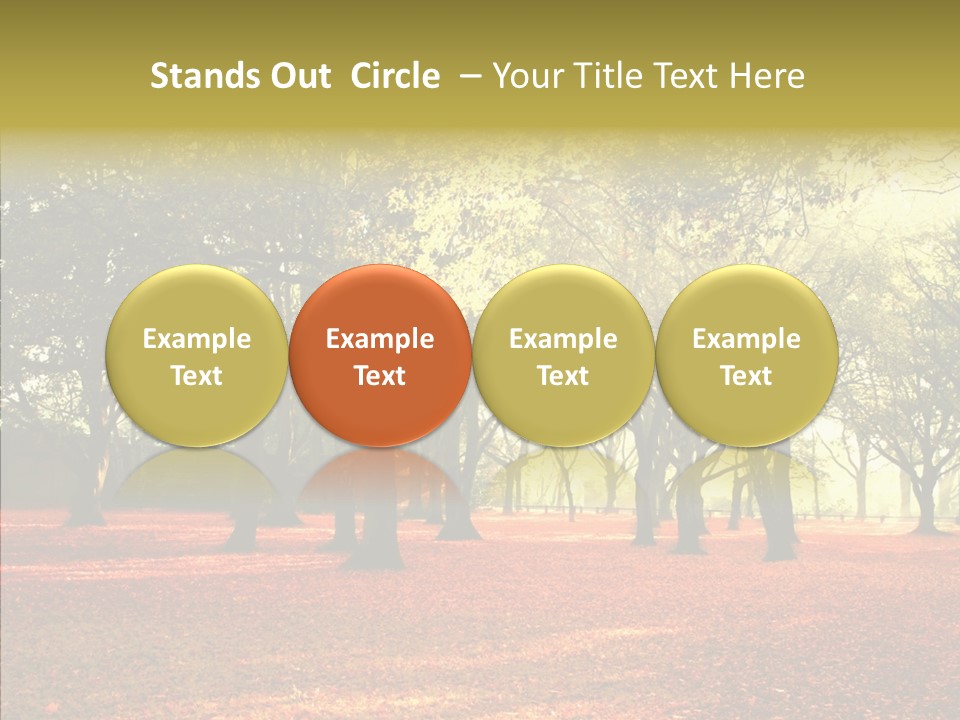 Orange Magnificent Display PowerPoint Template