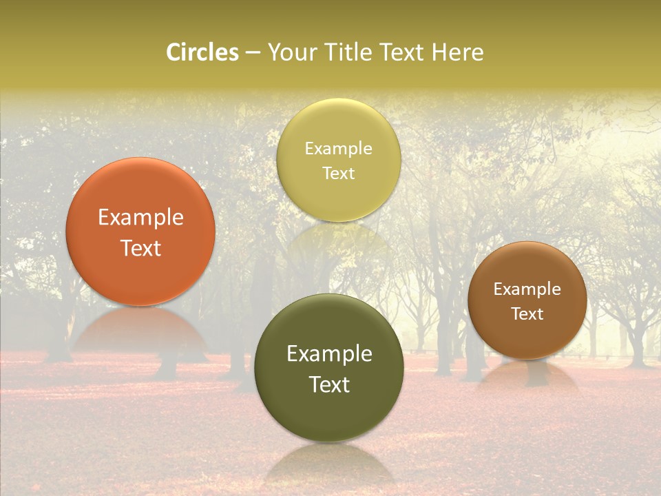 Orange Magnificent Display PowerPoint Template