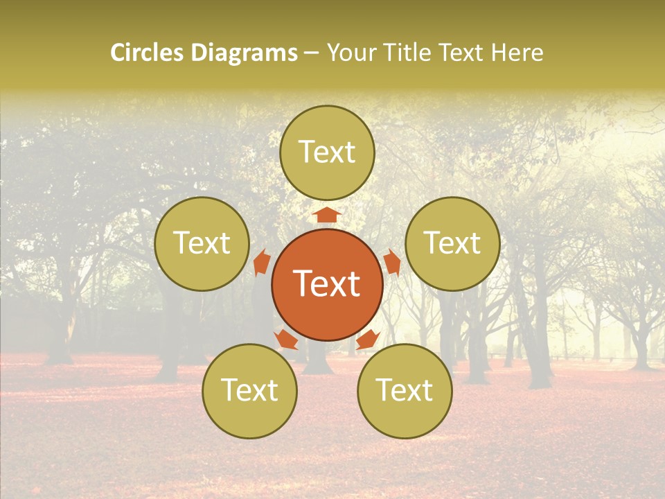 Orange Magnificent Display PowerPoint Template