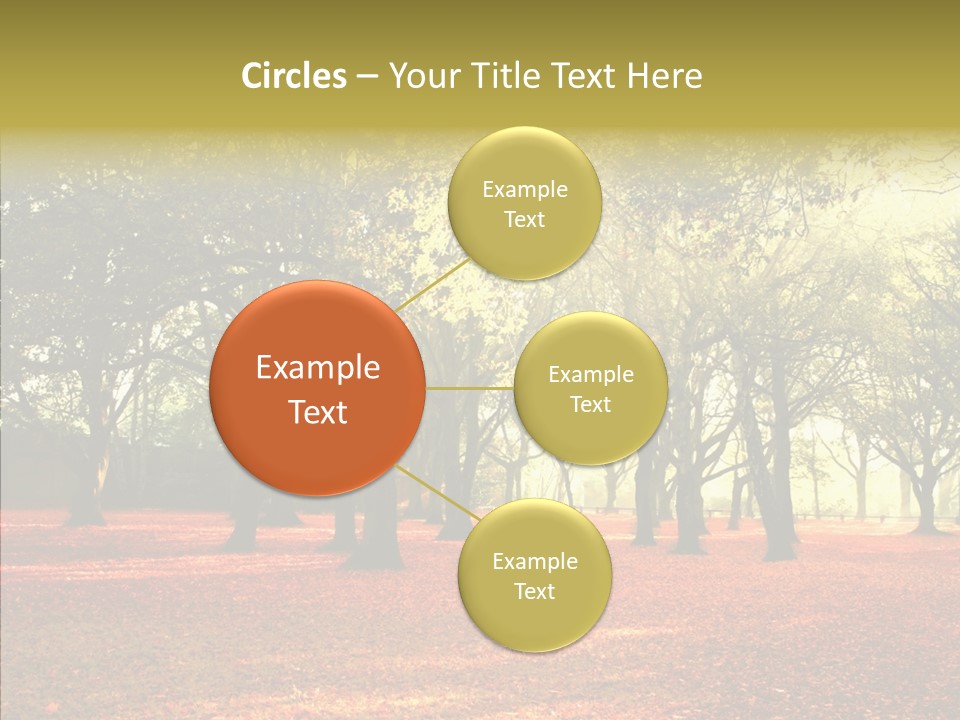 Orange Magnificent Display PowerPoint Template