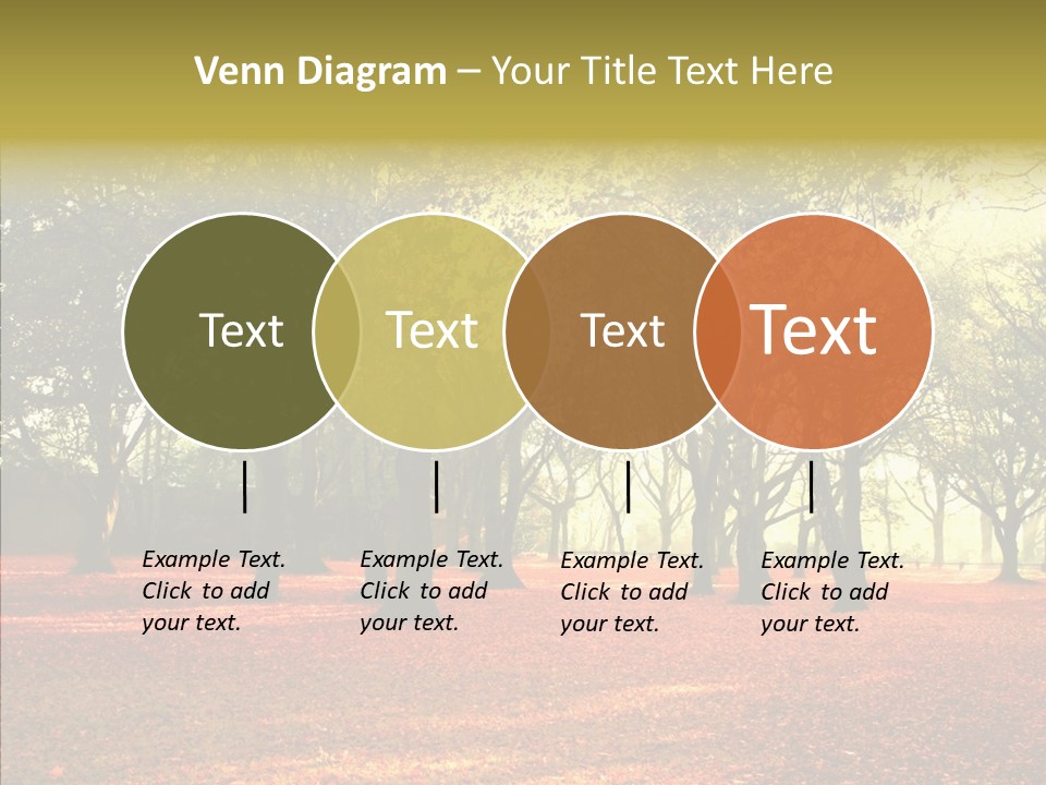 Orange Magnificent Display PowerPoint Template