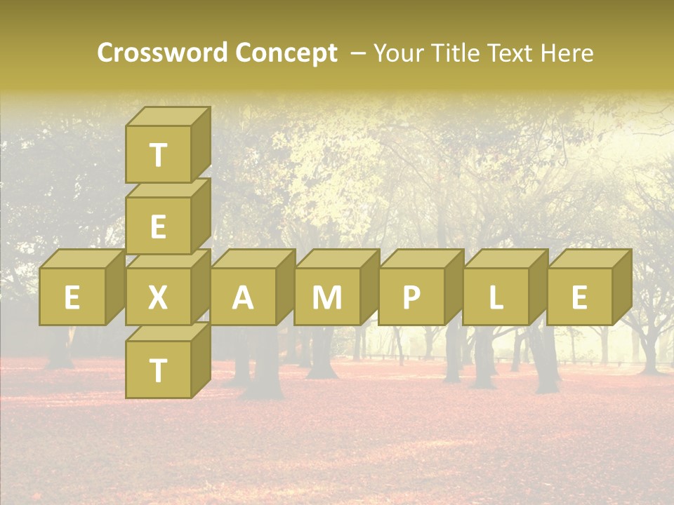 Orange Magnificent Display PowerPoint Template