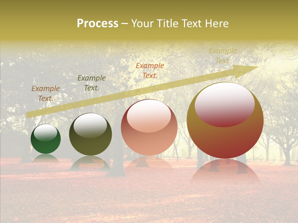 Orange Magnificent Display PowerPoint Template