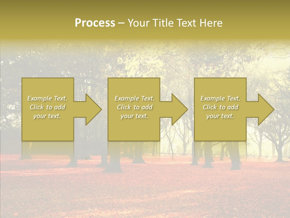 Orange Magnificent Display PowerPoint Template