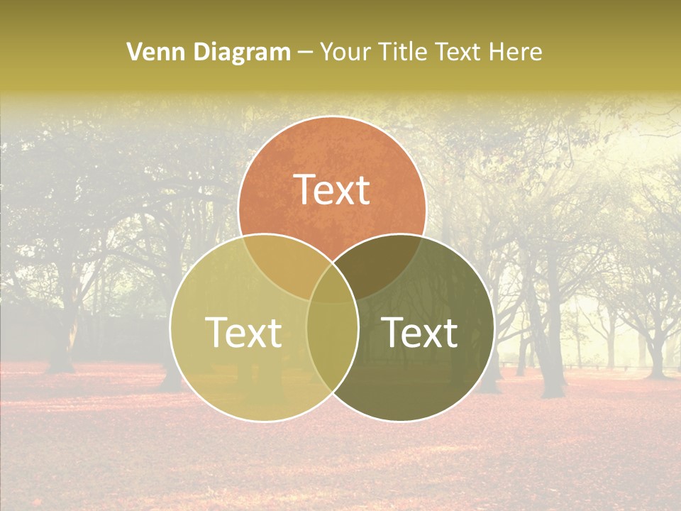 Orange Magnificent Display PowerPoint Template