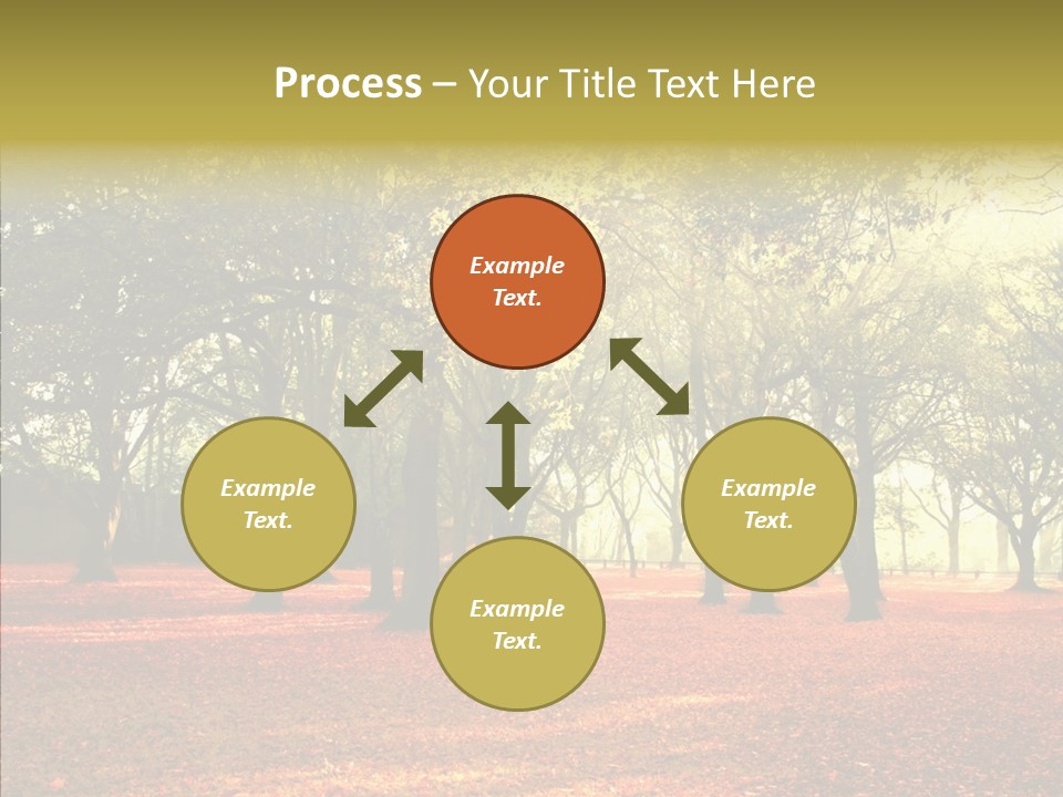 Orange Magnificent Display PowerPoint Template