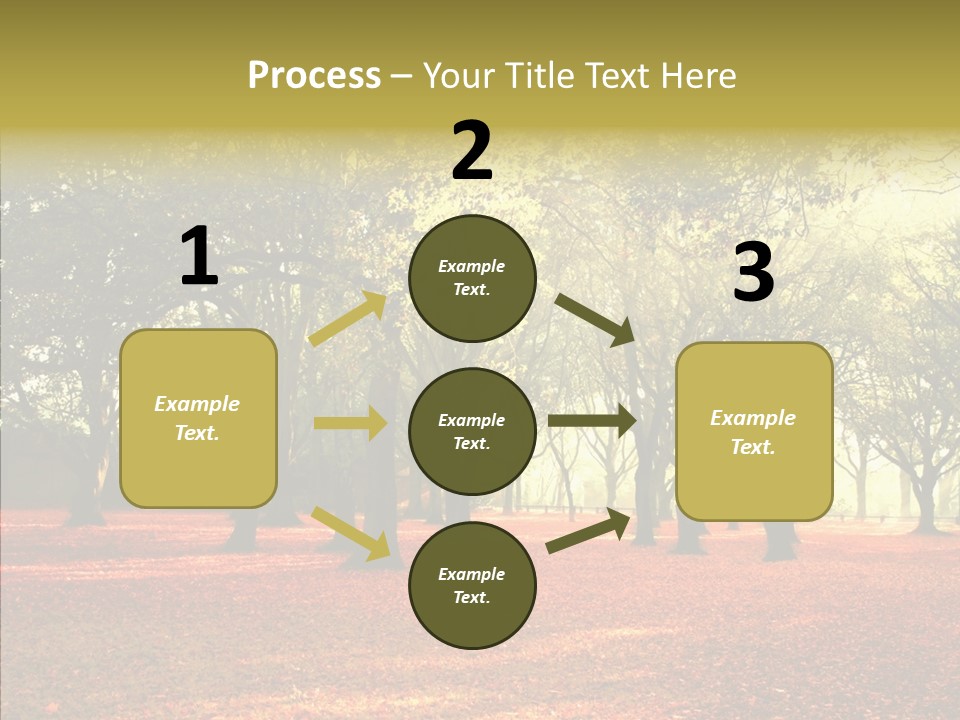 Orange Magnificent Display PowerPoint Template