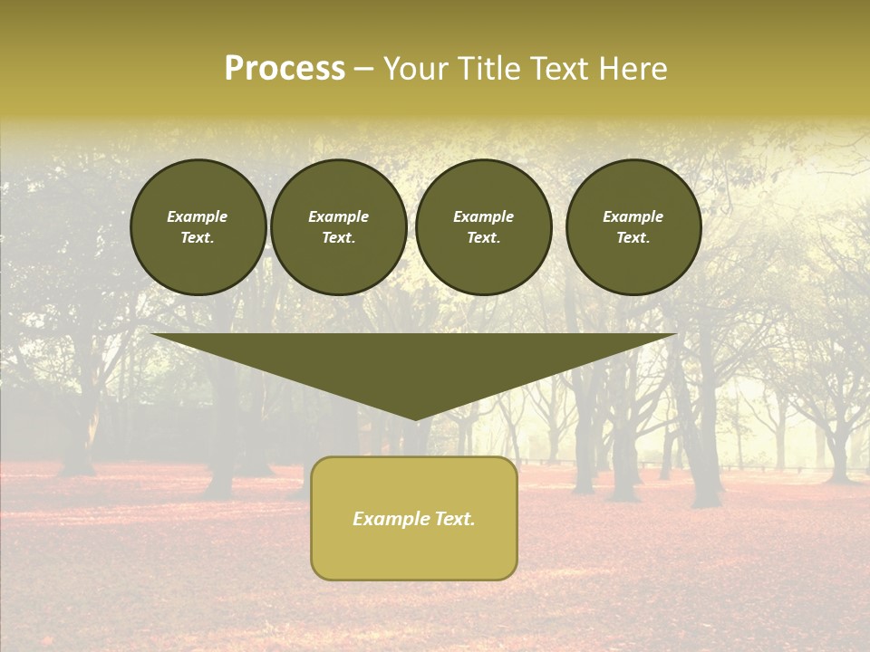 Orange Magnificent Display PowerPoint Template