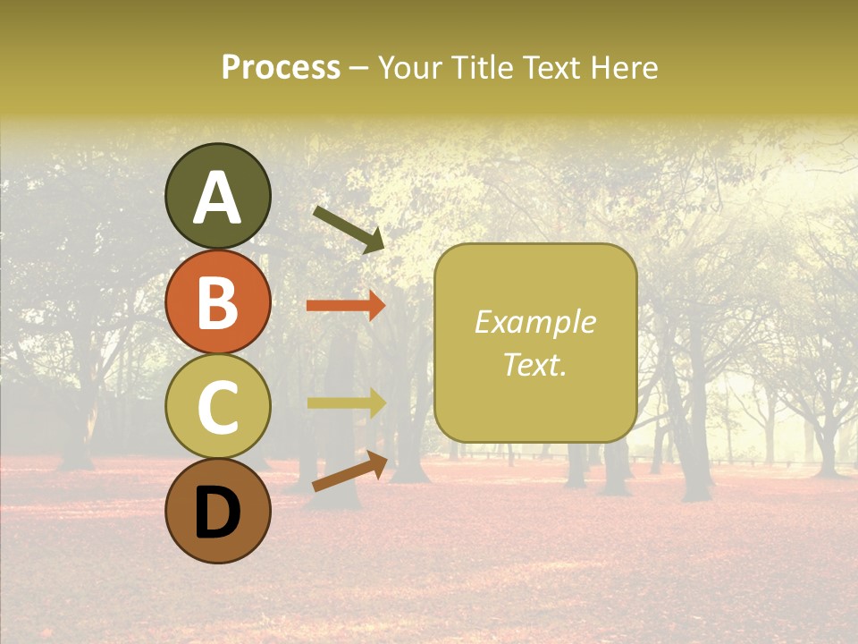 Orange Magnificent Display PowerPoint Template