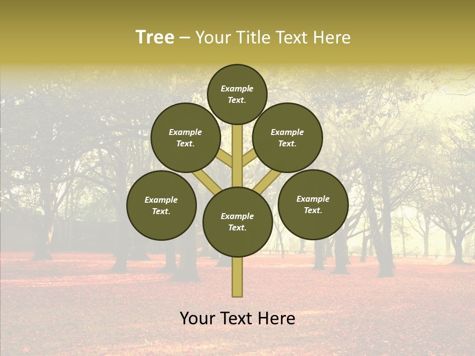 Orange Magnificent Display PowerPoint Template