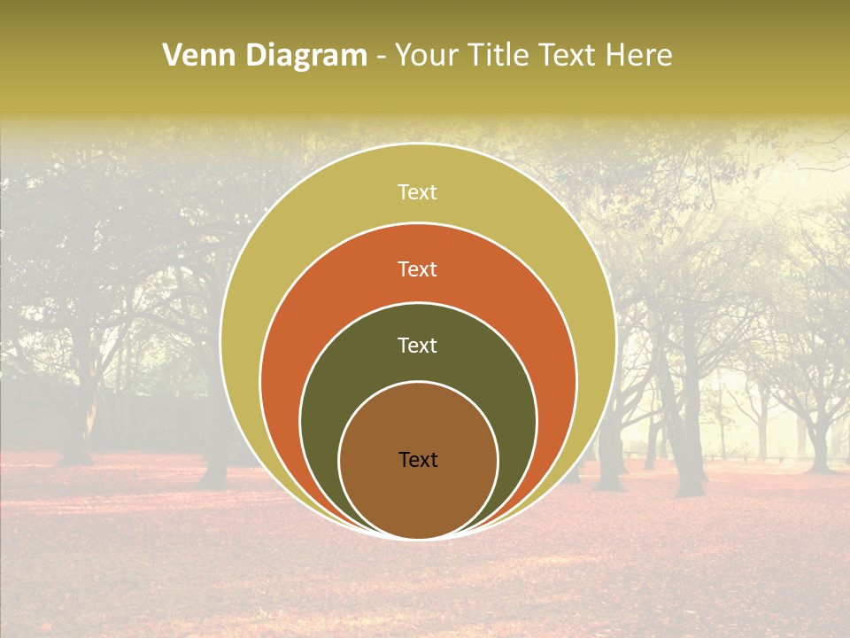 Orange Magnificent Display PowerPoint Template