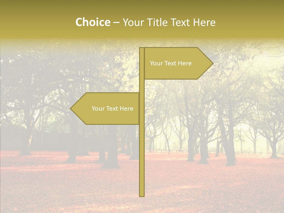 Orange Magnificent Display PowerPoint Template