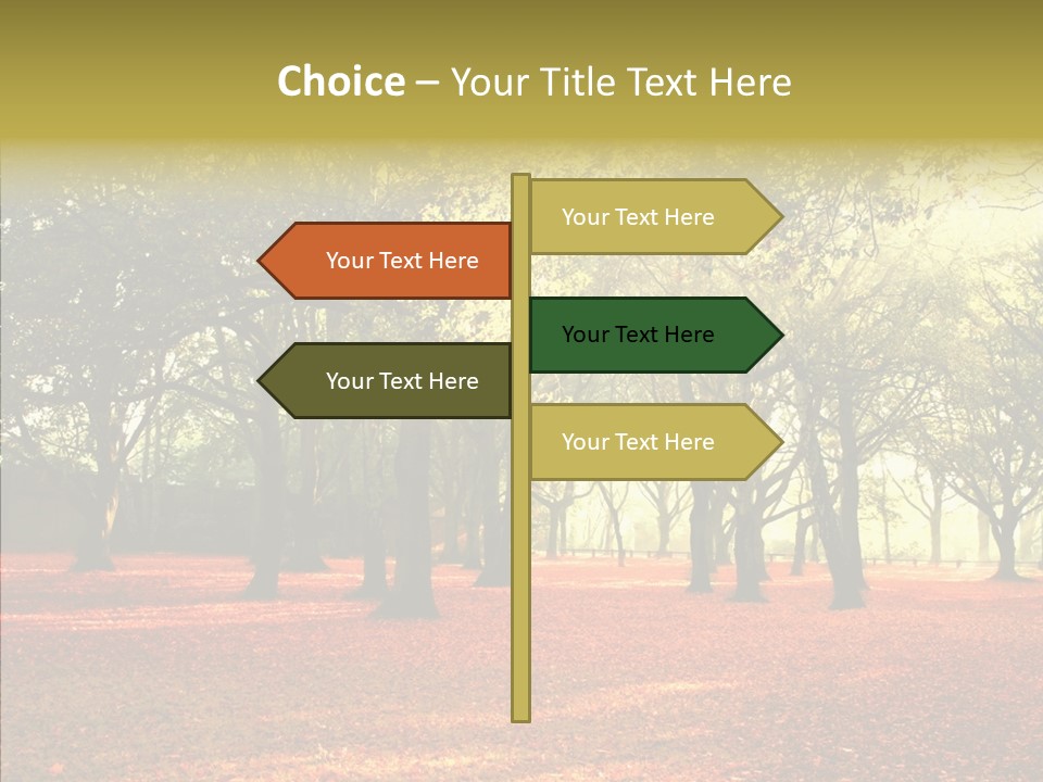 Orange Magnificent Display PowerPoint Template
