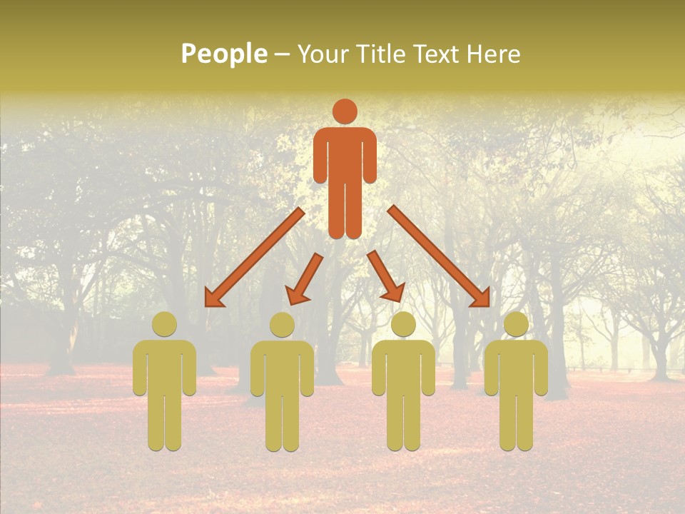 Orange Magnificent Display PowerPoint Template