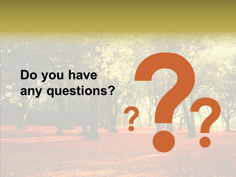 Orange Magnificent Display PowerPoint Template