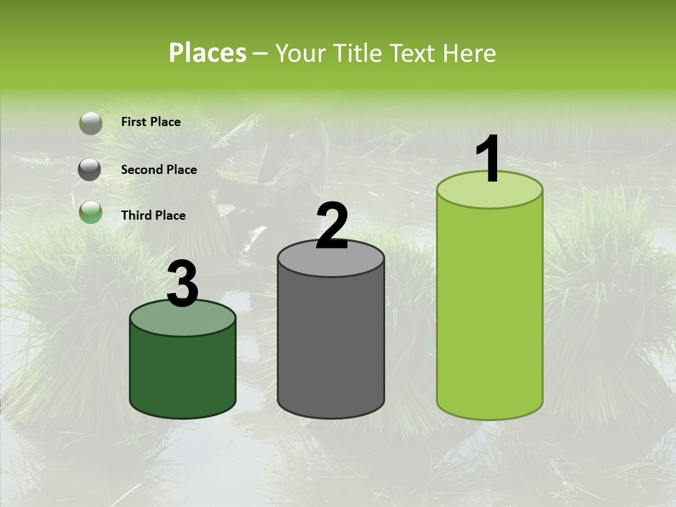 Countryside Scenery Tradition PowerPoint Template