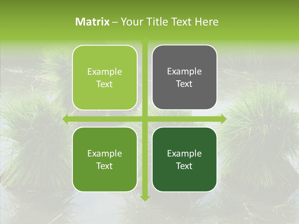 Countryside Scenery Tradition PowerPoint Template