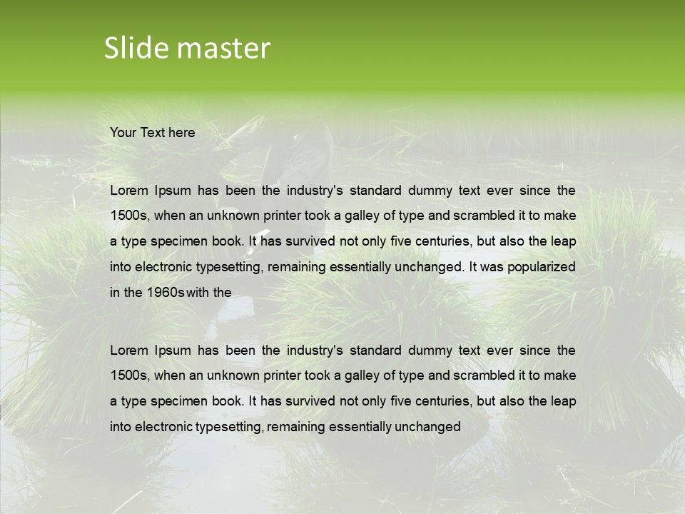 Countryside Scenery Tradition PowerPoint Template