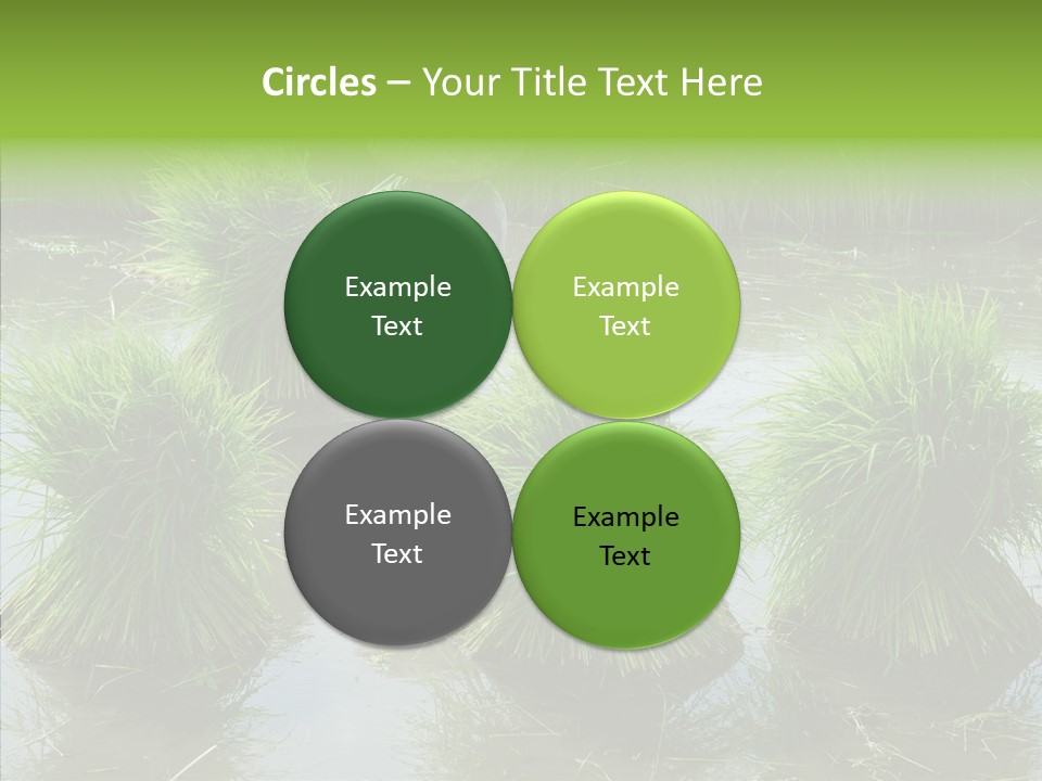 Countryside Scenery Tradition PowerPoint Template