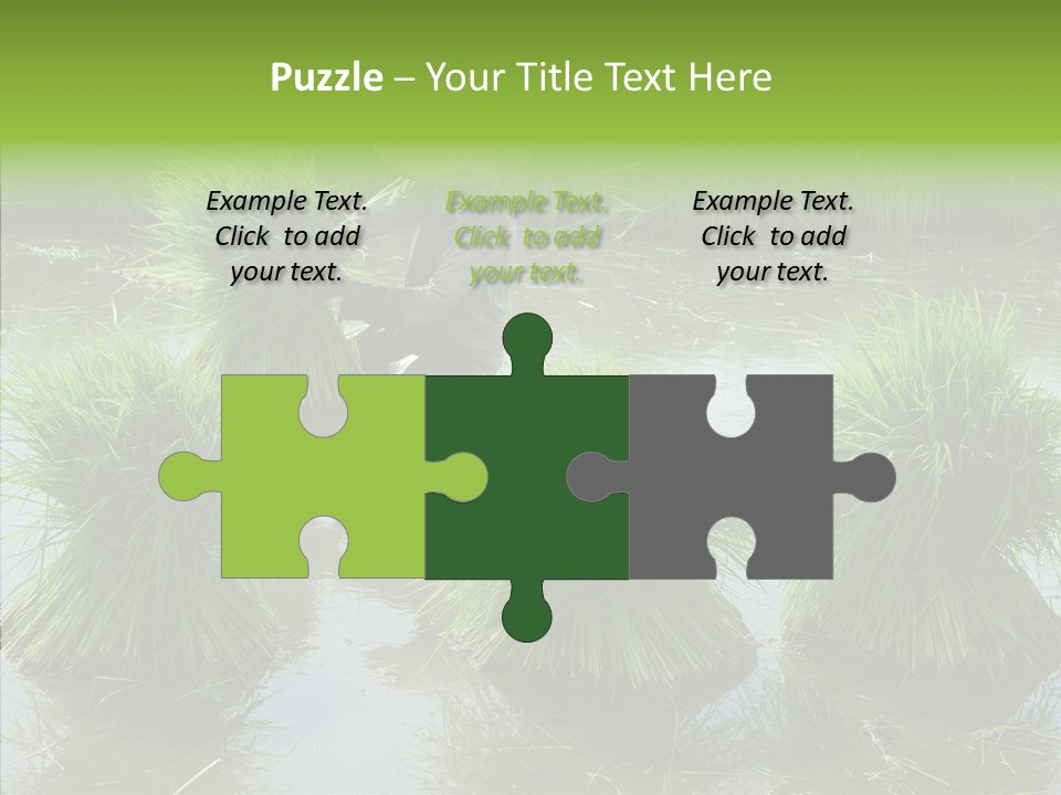 Countryside Scenery Tradition PowerPoint Template