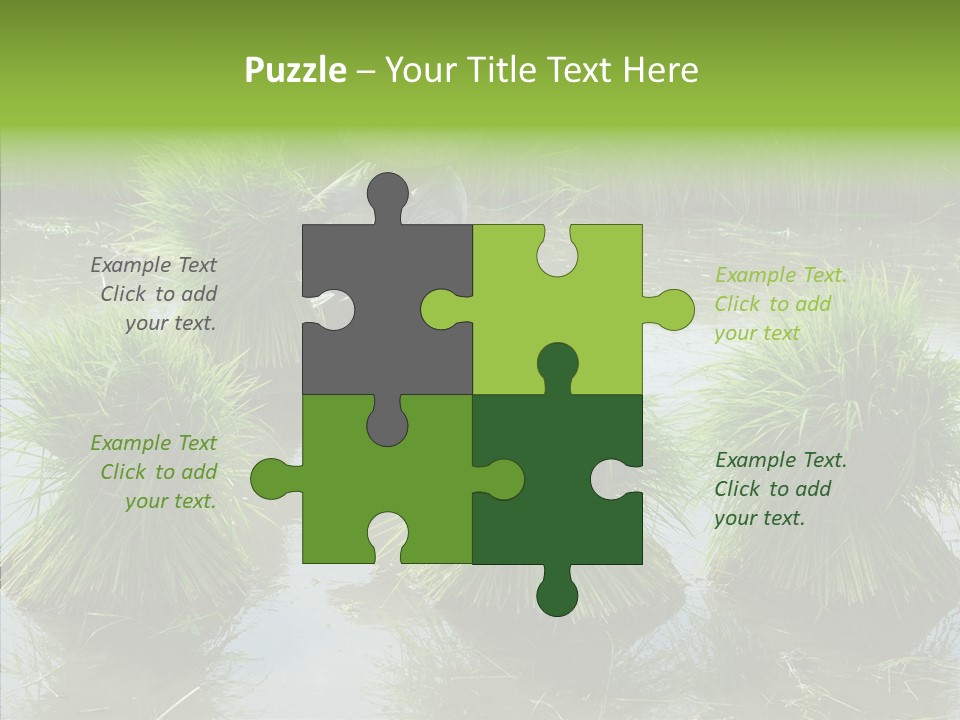 Countryside Scenery Tradition PowerPoint Template