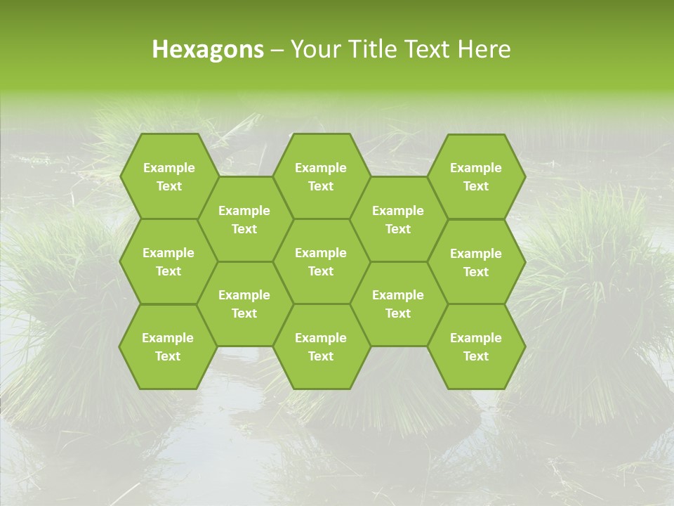 Countryside Scenery Tradition PowerPoint Template