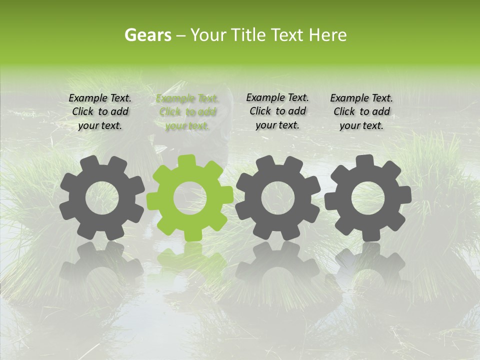 Countryside Scenery Tradition PowerPoint Template