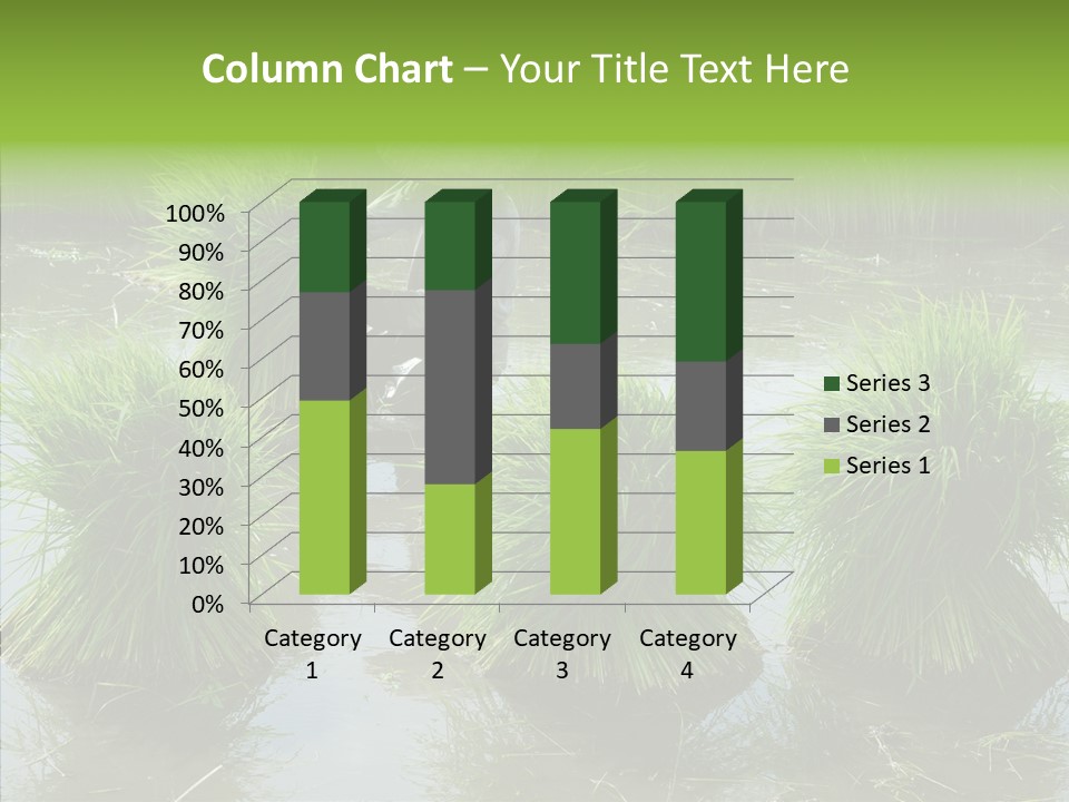 Countryside Scenery Tradition PowerPoint Template
