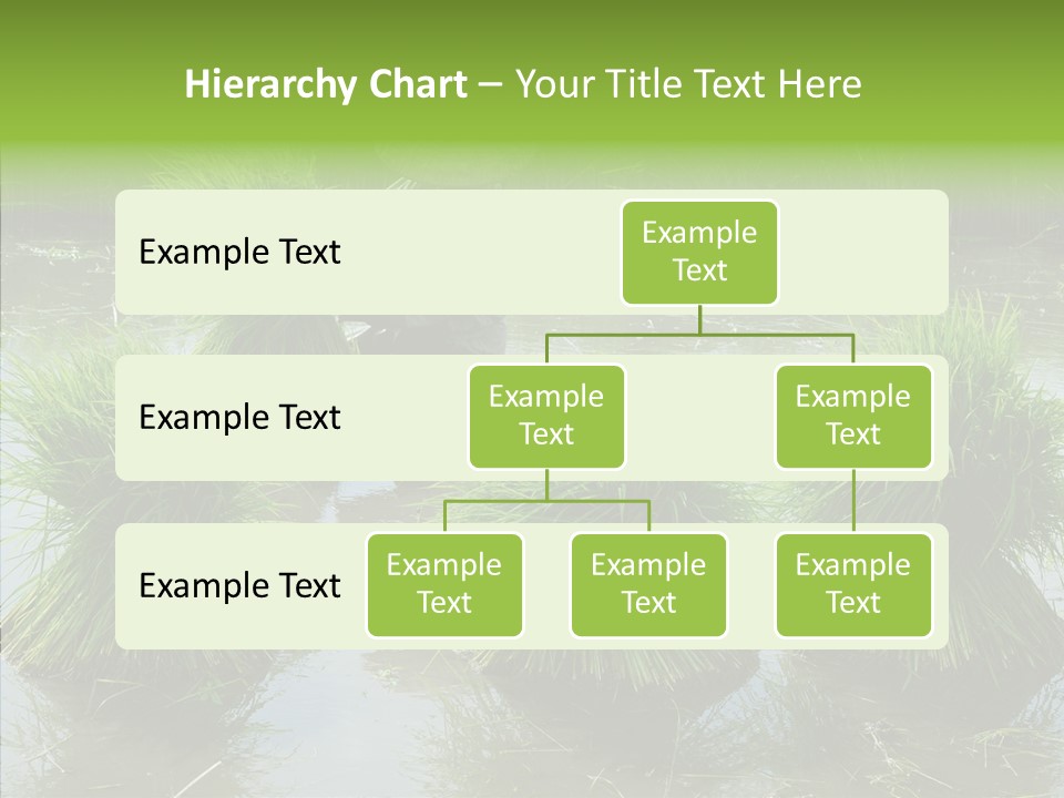 Countryside Scenery Tradition PowerPoint Template