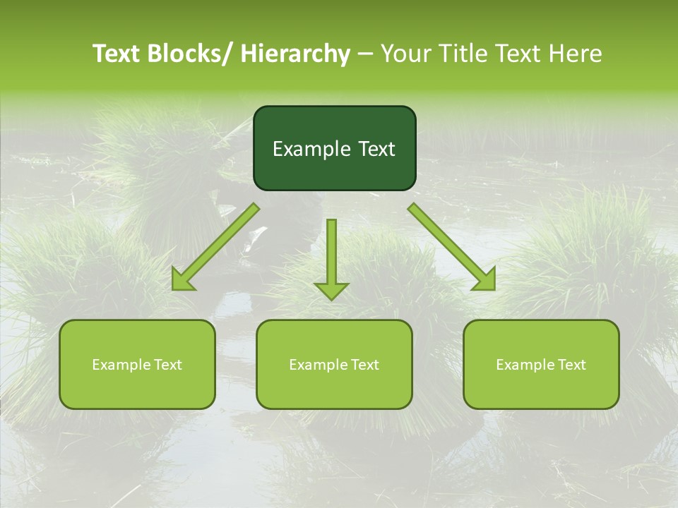 Countryside Scenery Tradition PowerPoint Template