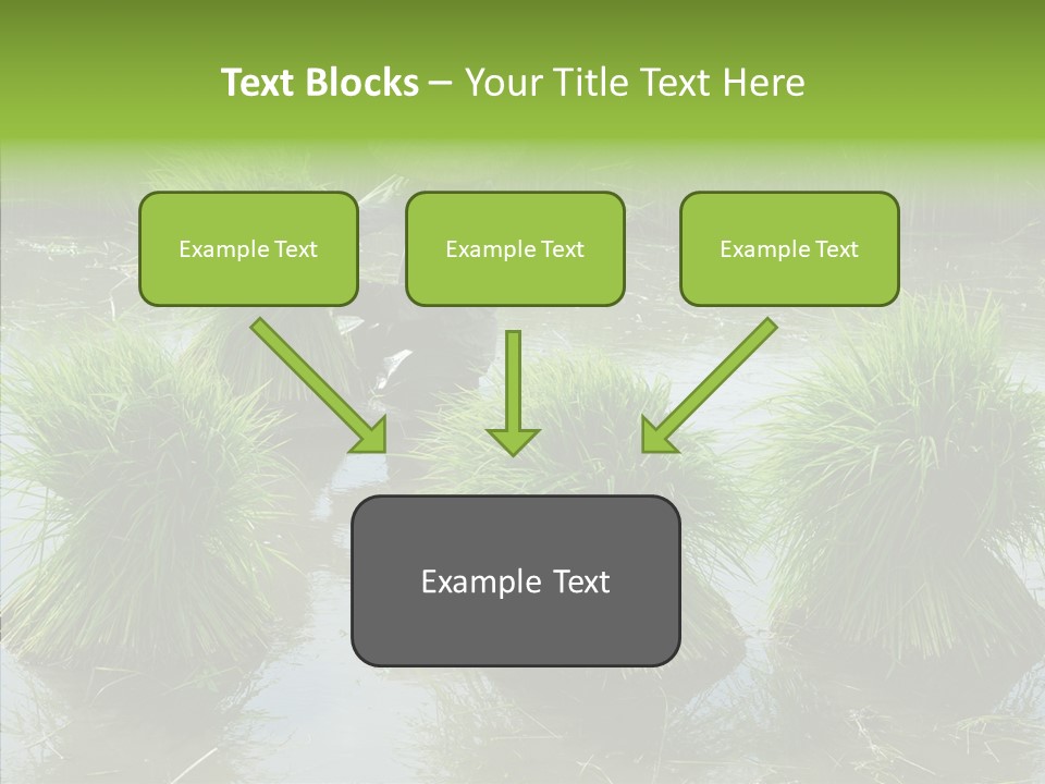 Countryside Scenery Tradition PowerPoint Template