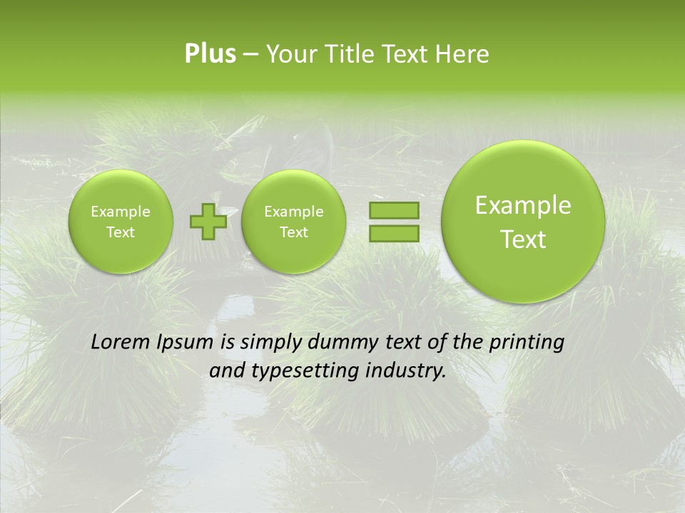 Countryside Scenery Tradition PowerPoint Template