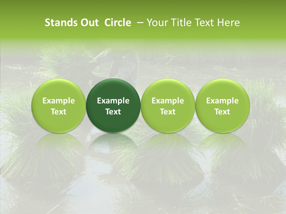 Countryside Scenery Tradition PowerPoint Template