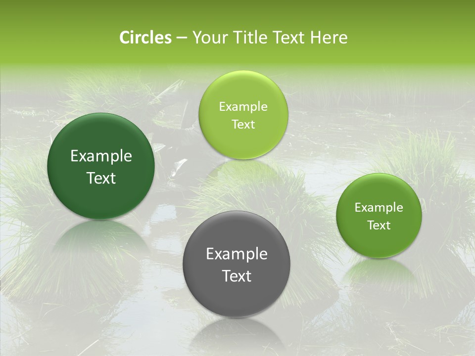 Countryside Scenery Tradition PowerPoint Template