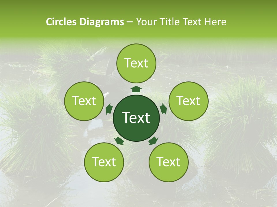 Countryside Scenery Tradition PowerPoint Template