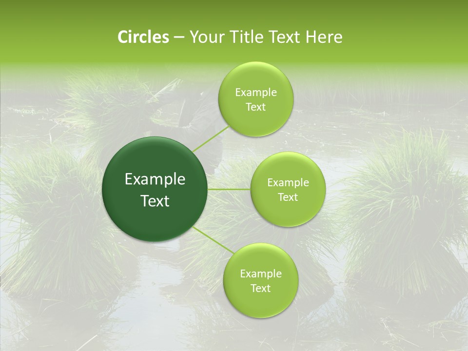 Countryside Scenery Tradition PowerPoint Template