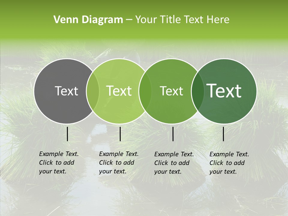 Countryside Scenery Tradition PowerPoint Template