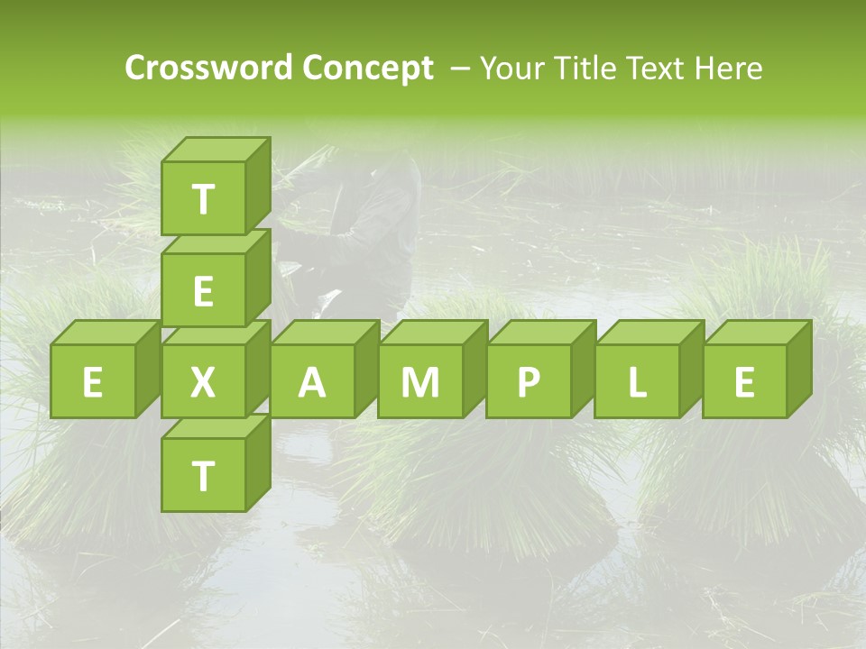 Countryside Scenery Tradition PowerPoint Template