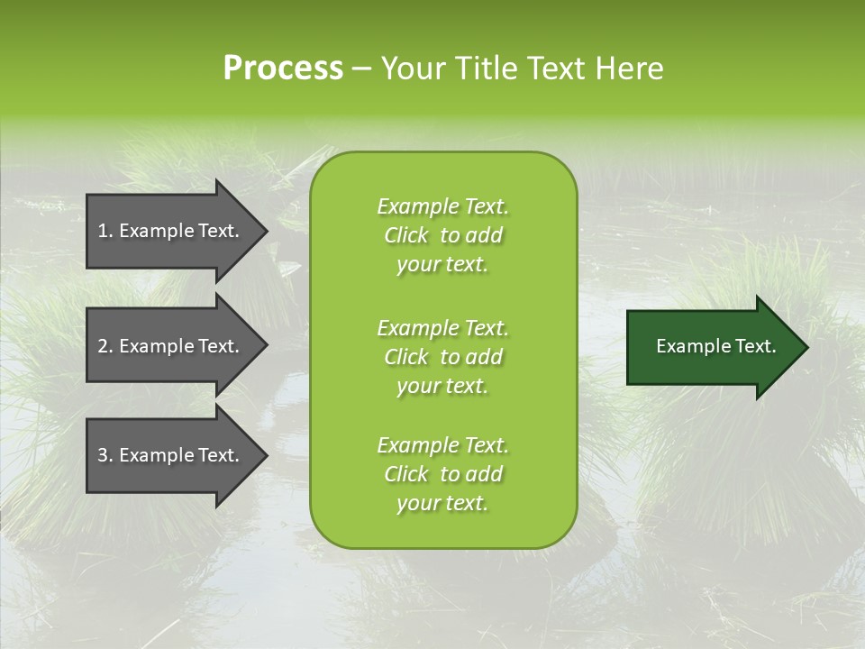 Countryside Scenery Tradition PowerPoint Template