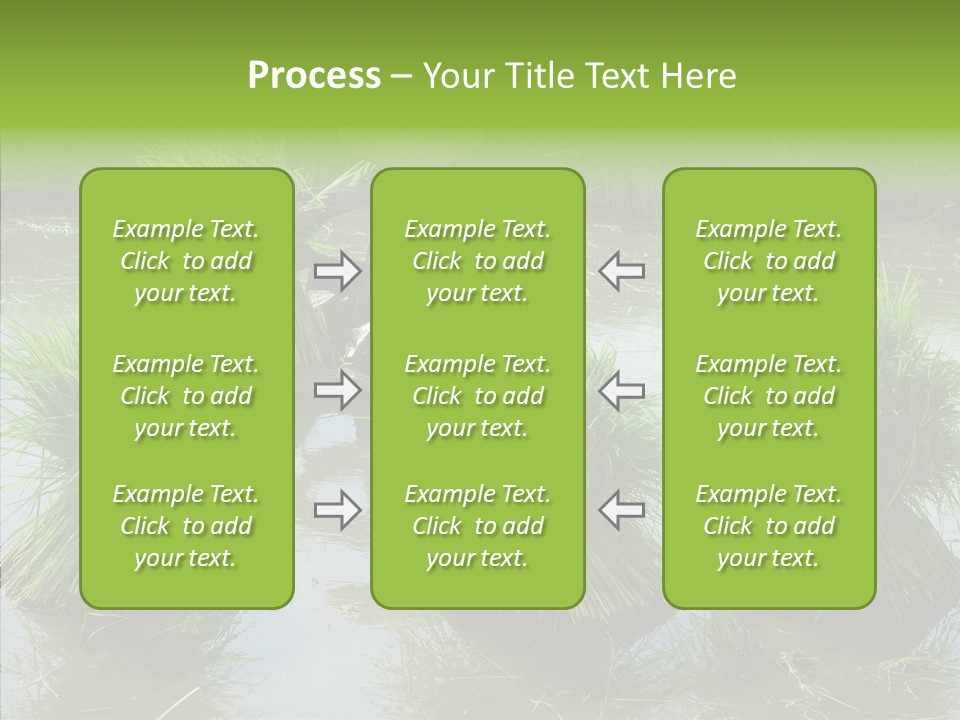 Countryside Scenery Tradition PowerPoint Template
