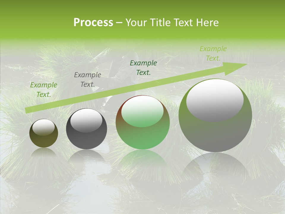 Countryside Scenery Tradition PowerPoint Template