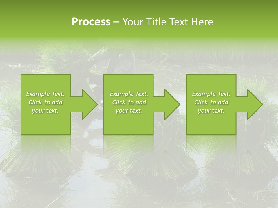 Countryside Scenery Tradition PowerPoint Template