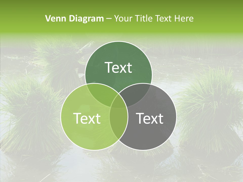 Countryside Scenery Tradition PowerPoint Template