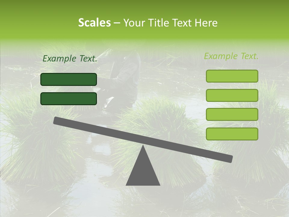 Countryside Scenery Tradition PowerPoint Template