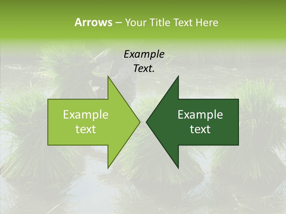 Countryside Scenery Tradition PowerPoint Template