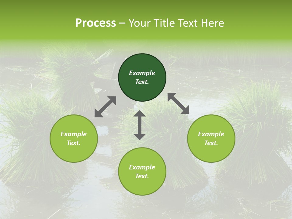 Countryside Scenery Tradition PowerPoint Template