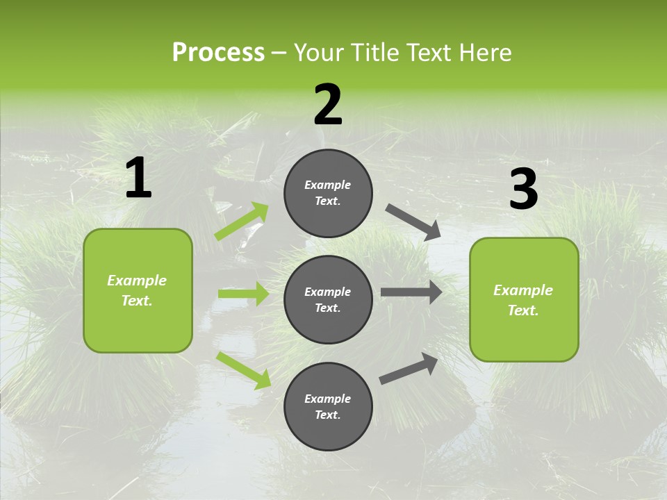 Countryside Scenery Tradition PowerPoint Template