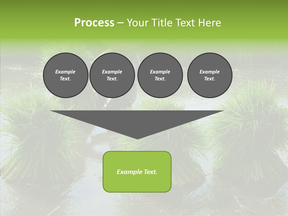 Countryside Scenery Tradition PowerPoint Template