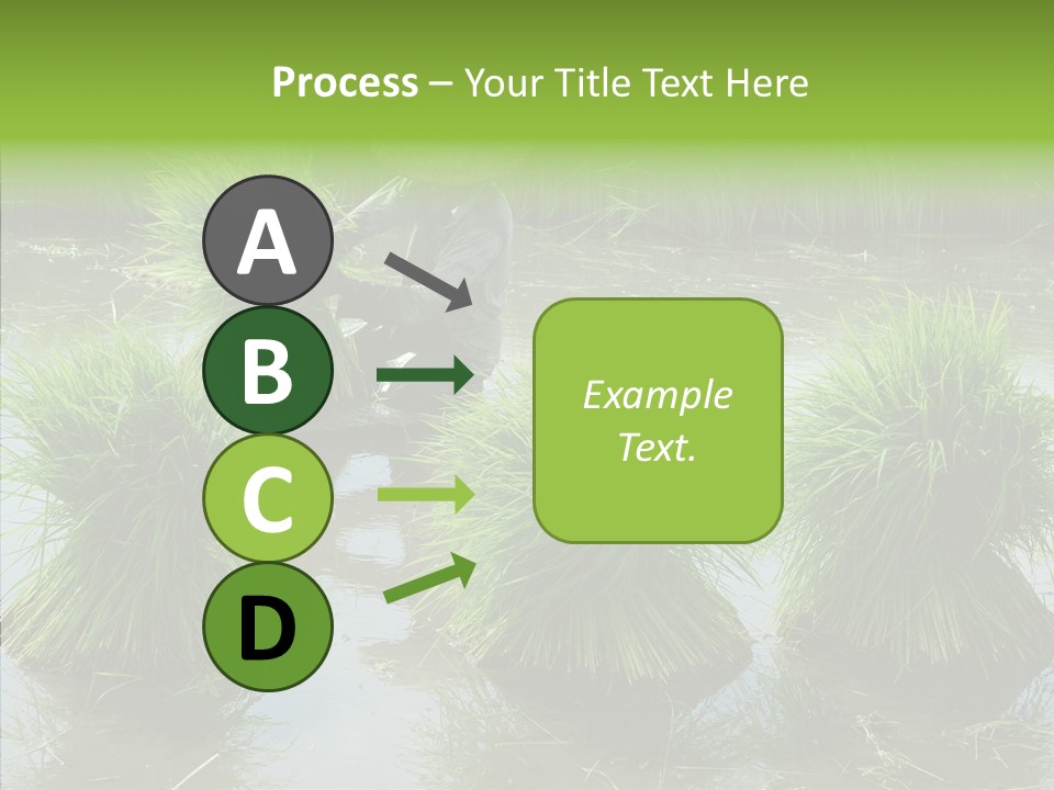 Countryside Scenery Tradition PowerPoint Template